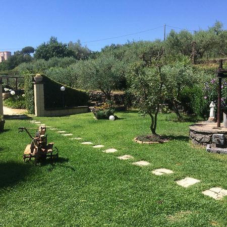 B&B Etna Ranch Piedimonte Etneo Zewnętrze zdjęcie