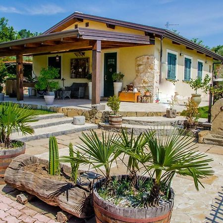 B&B Etna Ranch Piedimonte Etneo Zewnętrze zdjęcie
