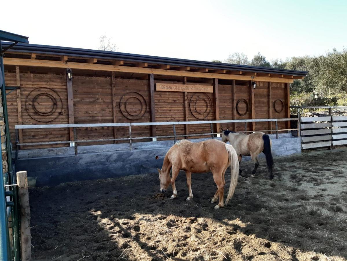 B&B Etna Ranch Piedimonte Etneo Zewnętrze zdjęcie
