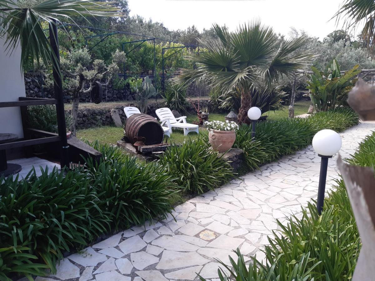 B&B Etna Ranch Piedimonte Etneo Zewnętrze zdjęcie