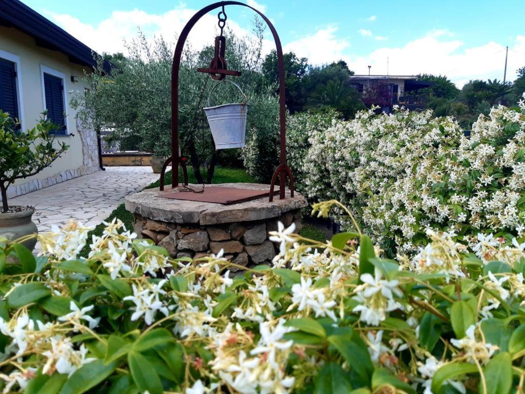 B&B Etna Ranch Piedimonte Etneo Zewnętrze zdjęcie