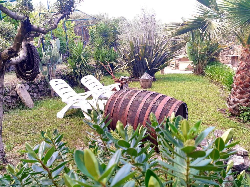 B&B Etna Ranch Piedimonte Etneo Zewnętrze zdjęcie