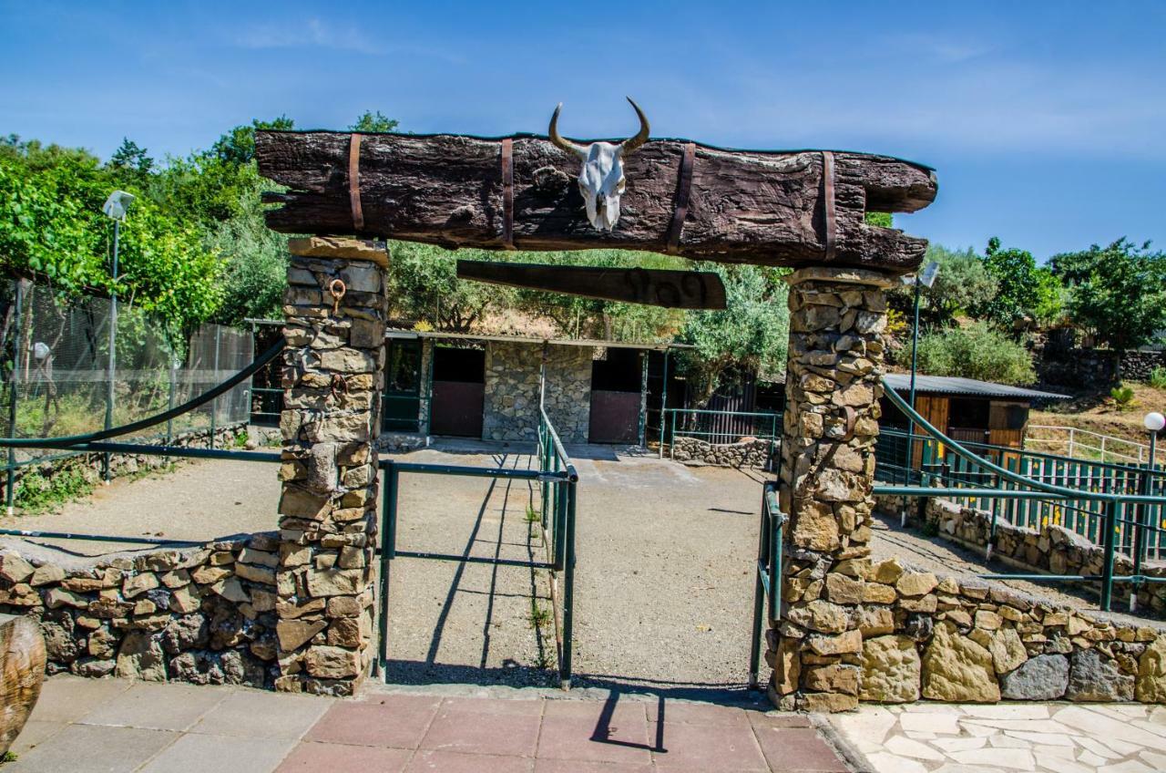 B&B Etna Ranch Piedimonte Etneo Zewnętrze zdjęcie