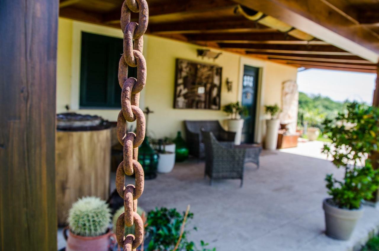 B&B Etna Ranch Piedimonte Etneo Zewnętrze zdjęcie