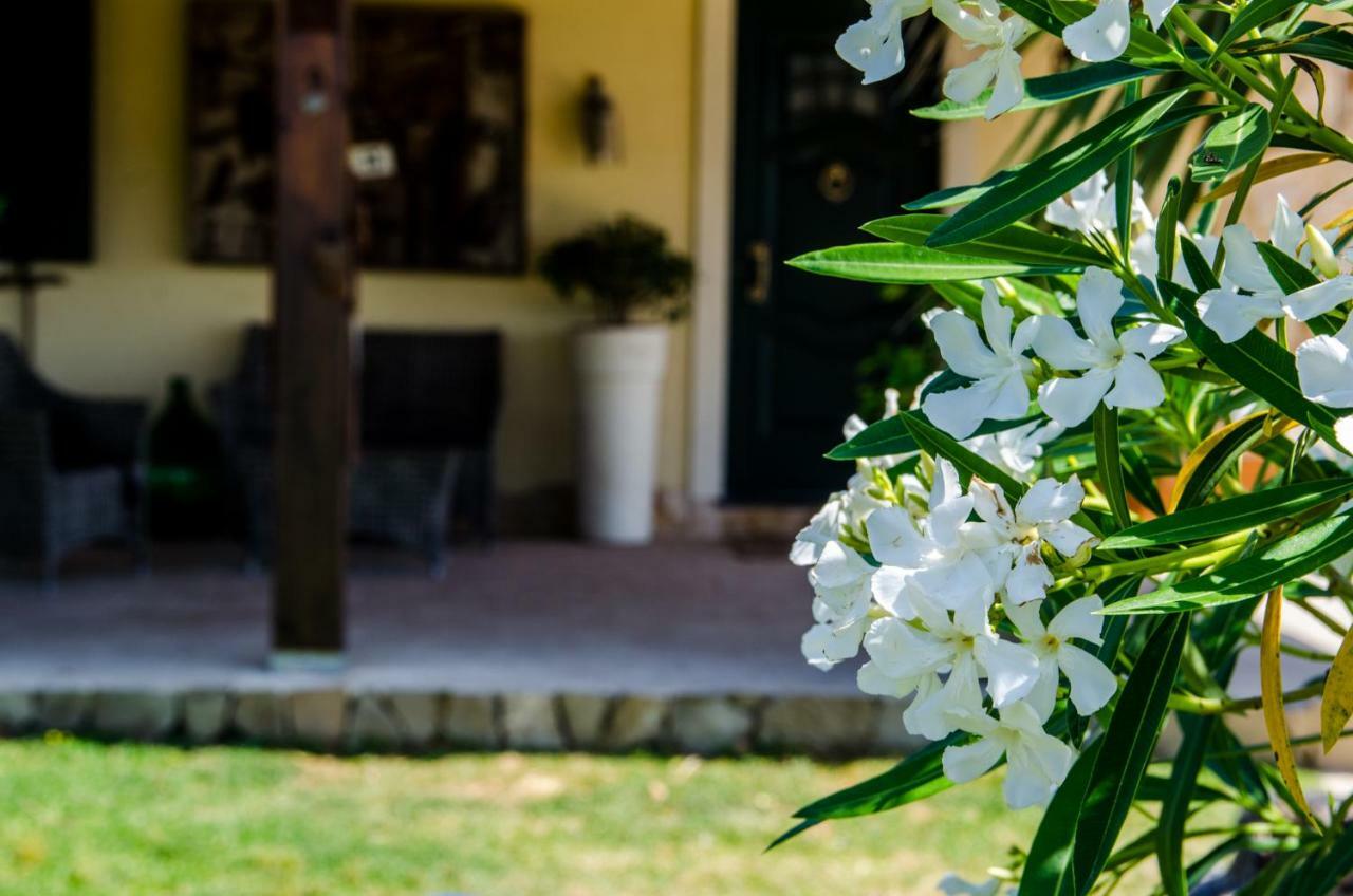 B&B Etna Ranch Piedimonte Etneo Zewnętrze zdjęcie