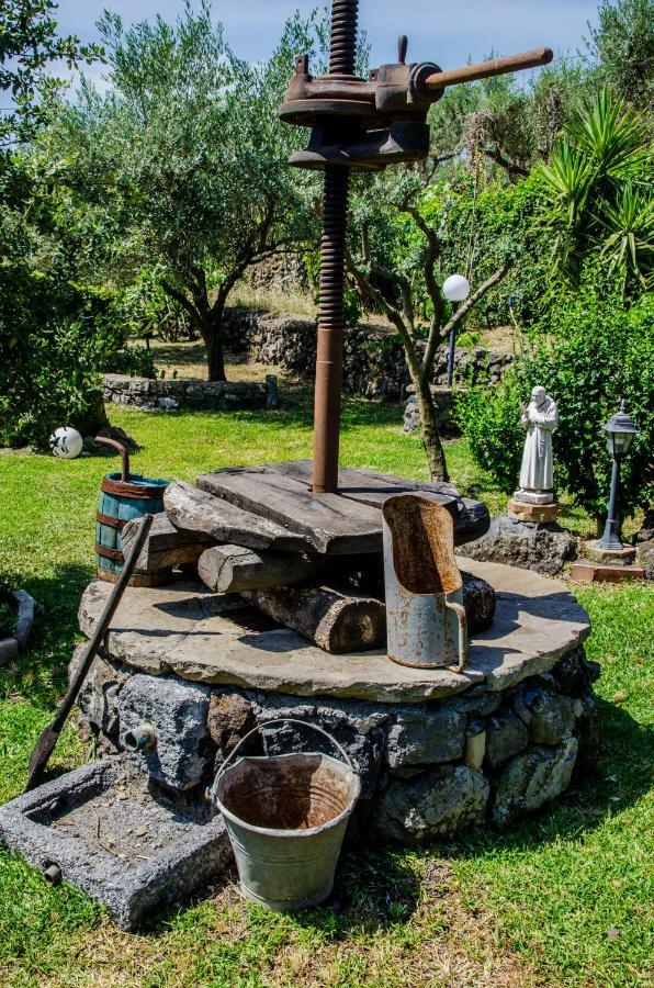 B&B Etna Ranch Piedimonte Etneo Zewnętrze zdjęcie